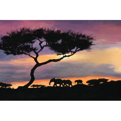 African Sunset - Wrapped Canvas Painting