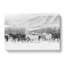 Herd Of Horses In Abstract - Wrapped Canvas-55309559