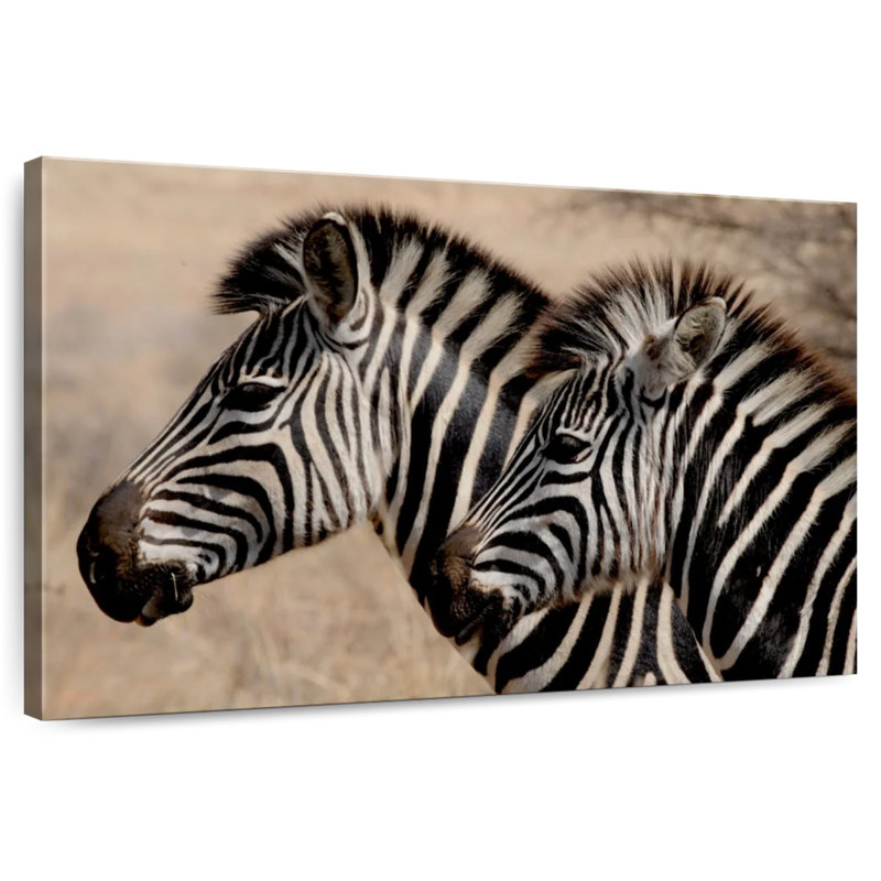 Brampt Zebra Friends, 16'' H x 24'' W