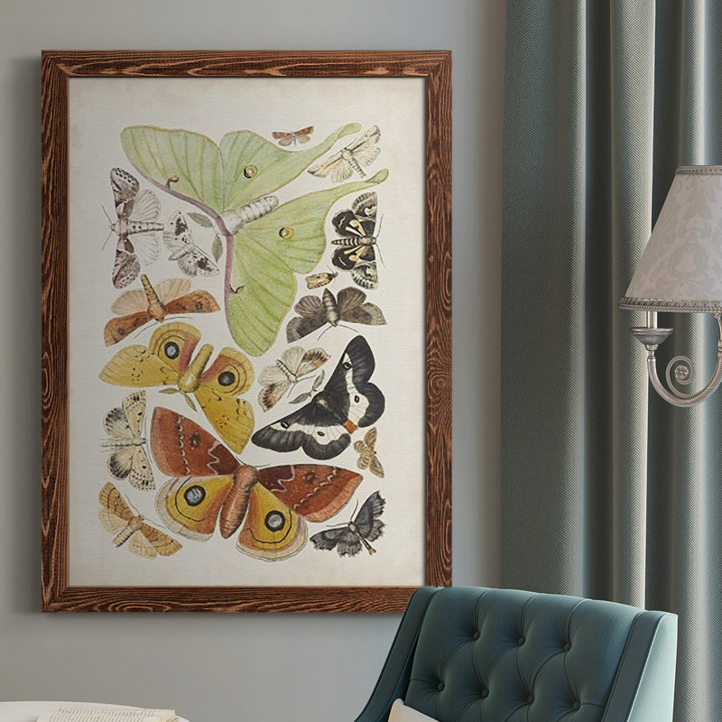 Papillons antiques I, H 43,5 po x l 31,5 po x P 1 po, Érable