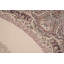 Tapis traditionnel turc 7 x 10