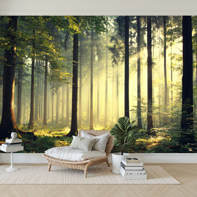 Peel and Stick Wallpaper Modern Self Adhesive Wall Mural for Bedroom - With Forest Landscape Woodland Tree Sun Rays Mist Foliage Sunlight Print
