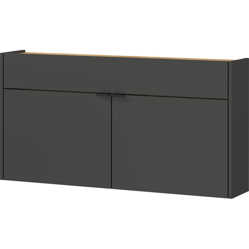 Nyack 12 Pair Shoe Storage Cabinet, Graphite
