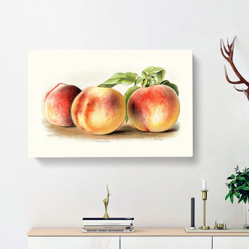Vintage Illustration Of Peaches - Wrapped Canvas Painting, 40cm H x 60cm W x 3cm D