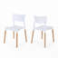Chaise en plastique (ensemble de 2)