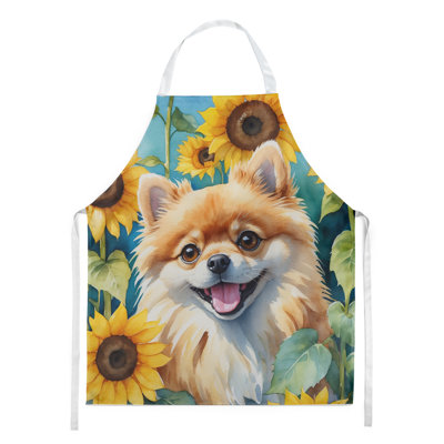 Poméranien en tablier tournesols
