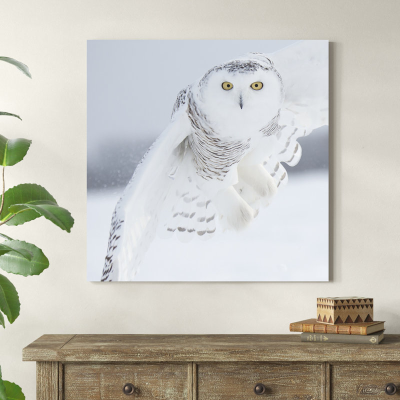 Hibou en vol I, H 36 po x l 36 po x P 1,25 po