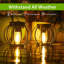 Roslie 11.7cm Solar Powered Outdoor Lantern