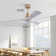 Iarlaith 48'' Ceiling Fan with LED Lights