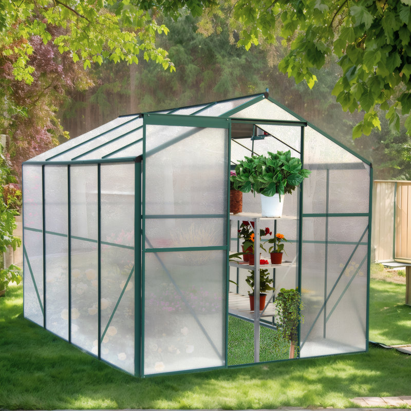 Serre en polycarbonate 6 pi x 8 pi - Jardin d'extérieur robuste pour la cour arrière