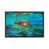 Brown Floater Framed
