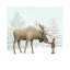 Winter Moose by Eric Fan - Floater Frame Print on Canvas-2072779976-2048308495
