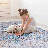 Washable Low-pile Area Rug – Soft, Pet-friendly & Stain-resistant Decor( 9'x12')-836859304