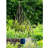 Willow Expanding Teepe Trellis-883399059-883399052