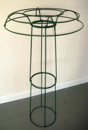 Puma Trellis, 56 cm H x 48 cm W
