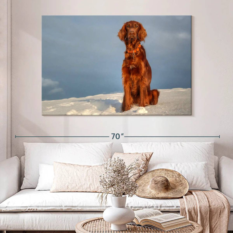 Setter irlandais Brampt sur neige, H 34 po x l 51 po