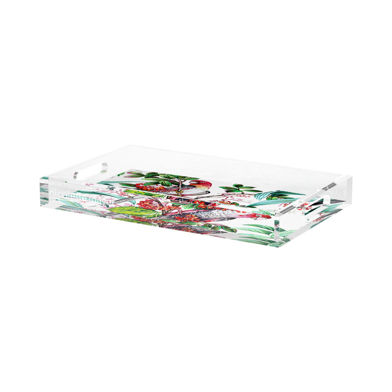 Plateau décoratif rectangulaire perroquet rouge acrylique, 12.5" W x 7.75" D x 2" H
