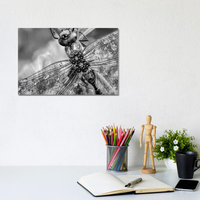 Southern Hawker Dragonfly close up, moisture on wings, New Mexico 1 Piece Wall Art on Canvas