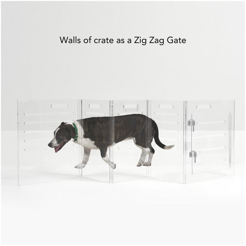 Large Clear View Pet Crate with Silver Latch, Blush