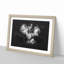 Cocker Spaniel - Picture Frame Graphic Art Print-56916796-56916797