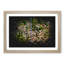 Separating The Forest - Picture Frame Graphic Art-56876732-56876733