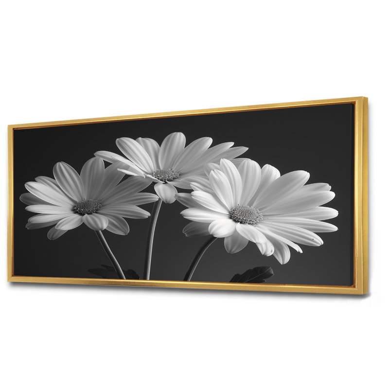 Monochrôme noir et blanc, bonheur, photo IV - marguerites, art mural, Cadre flottant doré, H 28 po x l 60 po