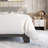 Litta Upholstered Platform Bed-165005751-165005754