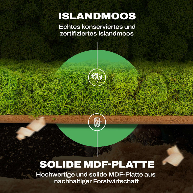 Moospaneele - Moosbild Islandmoos - Mooswand Selber Machen | Basic - 50 X 50, 50cm H x 50cm W x 4 cm D