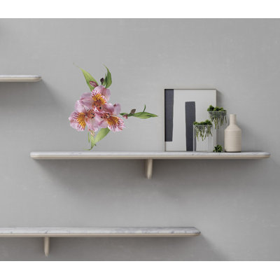 Plants & Flowers Wall Decal