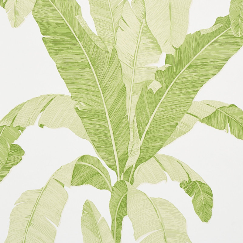 Erisimo Wallpaper, Leaf