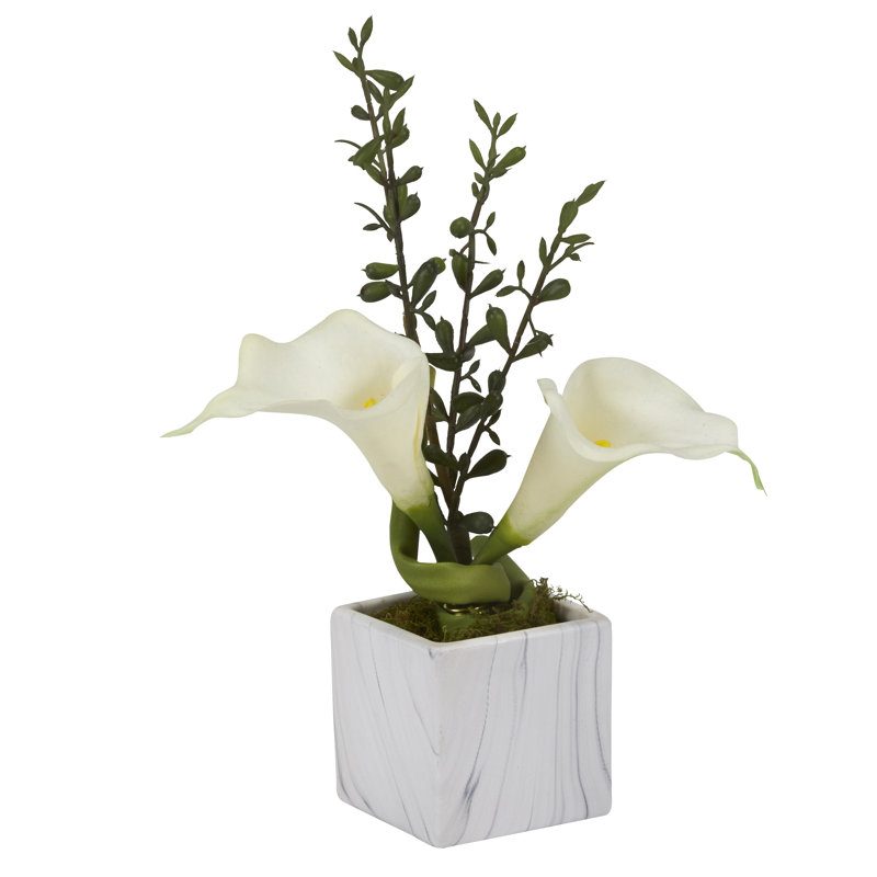 Beautiful Lilies in Planter