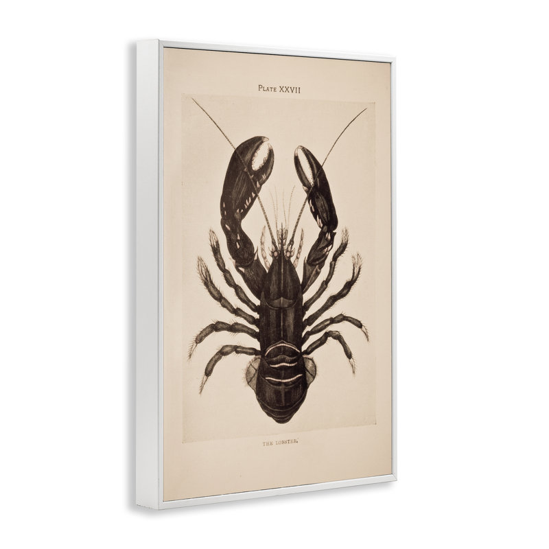 Vintage Detail Lobster Framed Giclee Art, design by Deborah Revell, 18" H x 12" W, Coastal White Framed Giclee