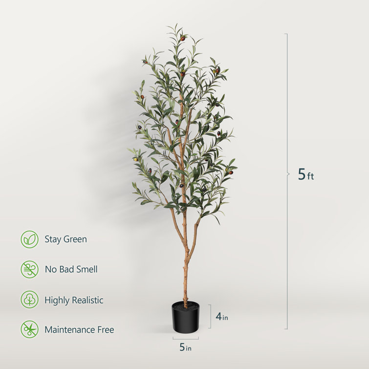 Primrue Adcock Artificial Olive Tree In Pot Faux Olive Plant, Fake Olive  Tree for Home Decor & Reviews