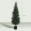 Faux Cypress Tree Plant in Cement Freestanding  Planter-798740874