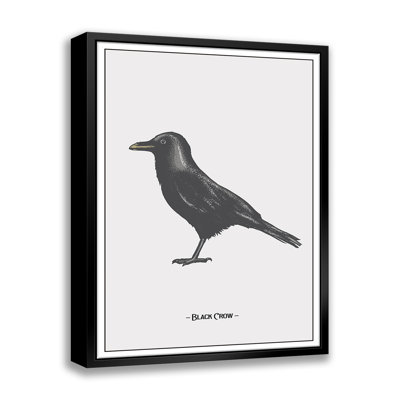 " The Black Crow "