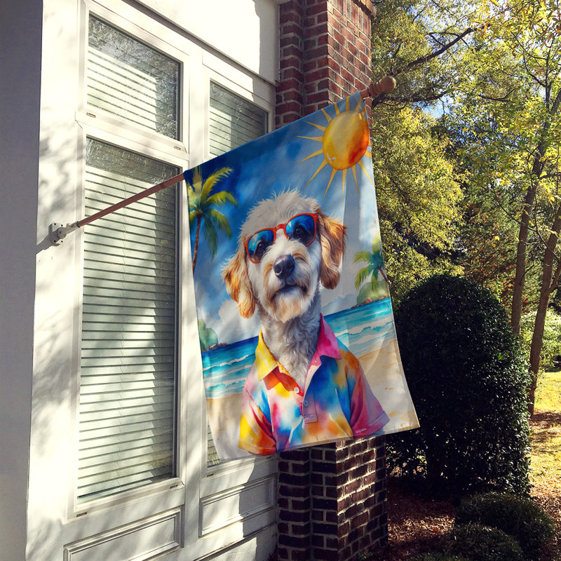 Drapeau de la maison esquimau américain, Labradoodle