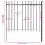 Weldona Garden Fence Spear Top Steel Outdoor Panels Barrier Border Multi Sizes