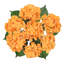 Tige d'hortensia de luxe Cragmont-715876243