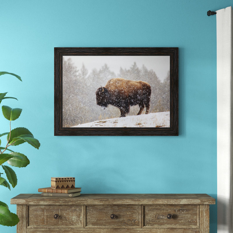 «Bison in The Snow», reproduction de photo encadrée