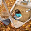 Sandpit 'ship'