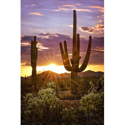 Teionna Canyon Sunset VIII by David Drost - Wrapped Canvas Photograph