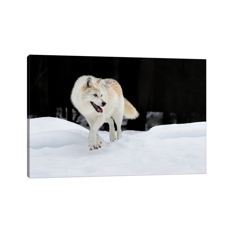Out Of The Dark by Jun Zuo - Wrapped Canvas Print, 66.04 cm H x 45.72 cm W x 1.91 cm D