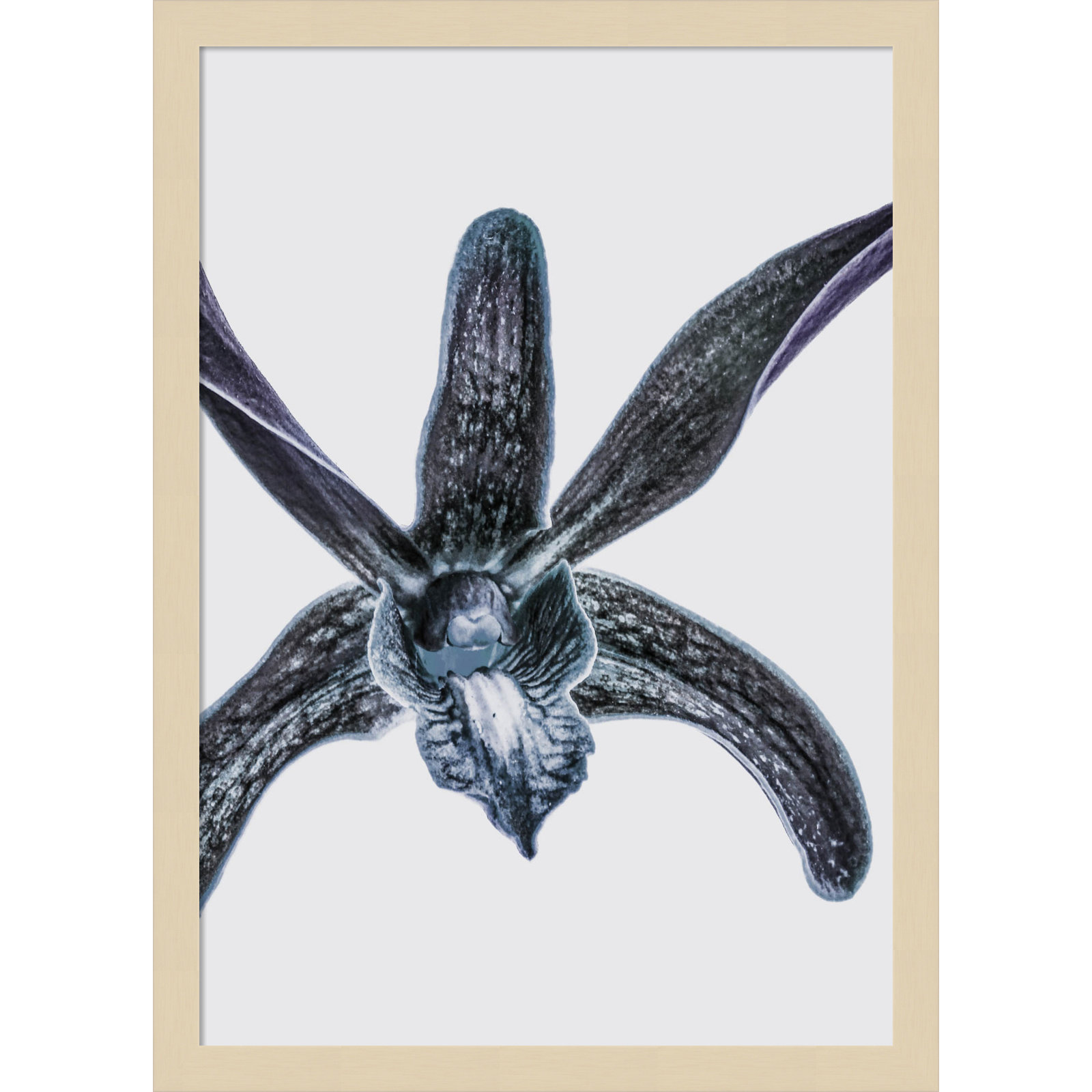Parkerfield "Orchid" Print by Shot by Clint, 21" H x 15" W, Brown