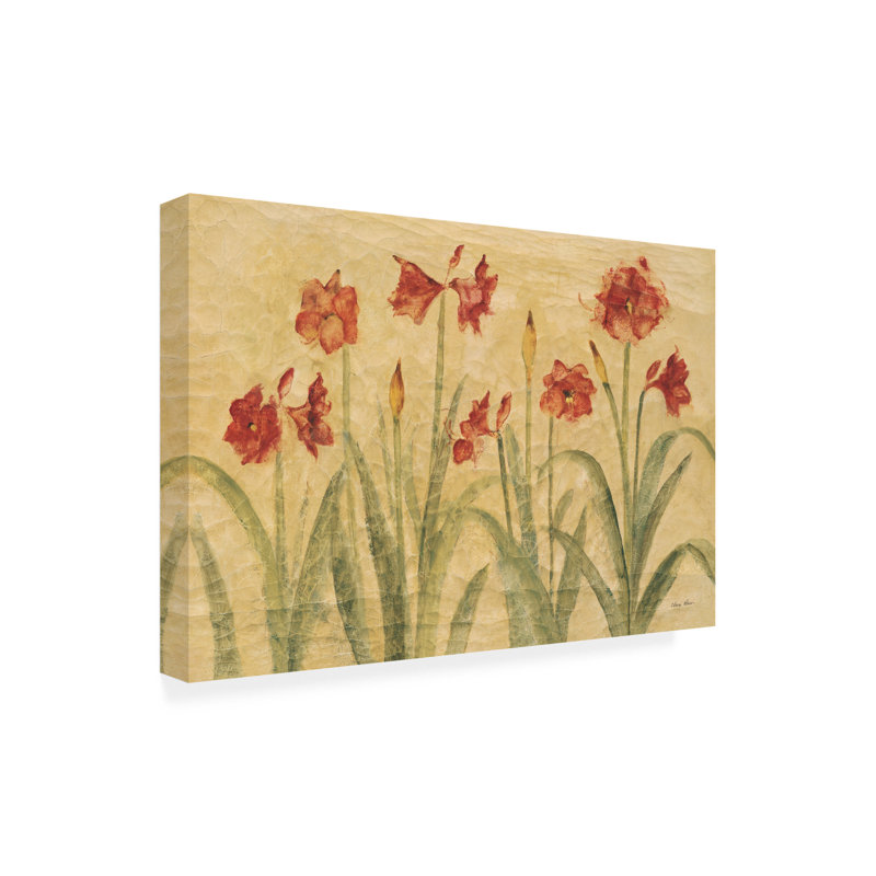 Rouleau de baryum roux, Amaryllis, H 12 po x l 19 po