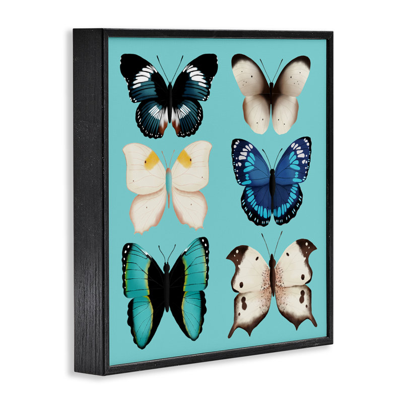 Six différents papillons sur fond turquoise, estampe numérique, design par Metka Hiti, Giclée encadrée noir minuit