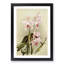 Magnolia Flowers Illustration Tab. 85 by Frederick Sander - Picture Frame Painting Print-55760217-55760218