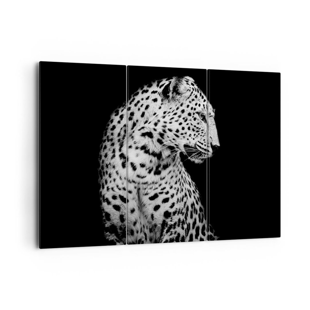 3-tlg. Leinwandbilder-Set Leopard Panther Cat