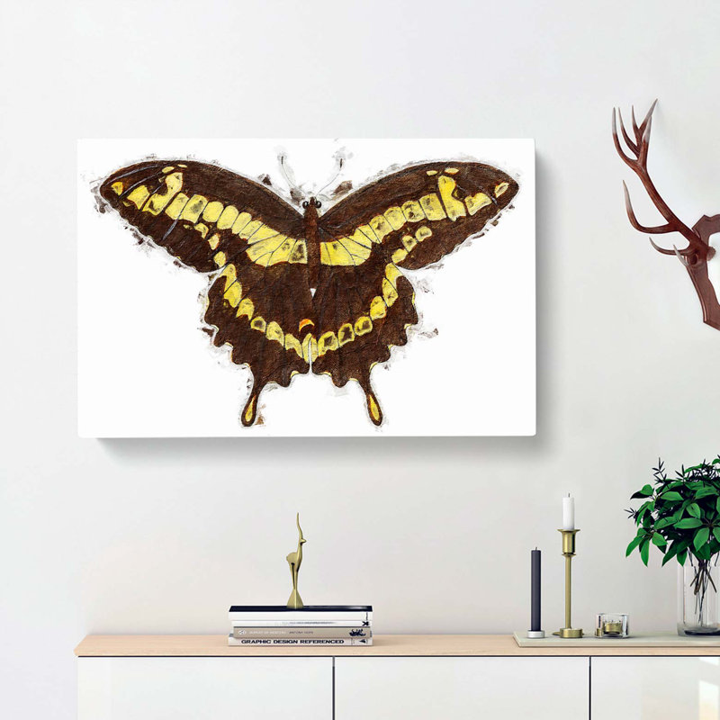 A Papilio Butterfly by George Shaw - Wrapped Canvas, 50cm H x 76cm W x 3cm D