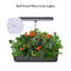 Boîte à fleurs en plastique Kylun
