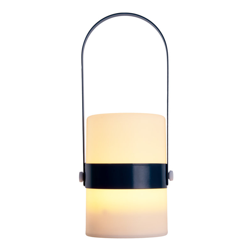 Lynnesha 28cm Battery Powered Integrated LED Outdoor Lantern, Blue